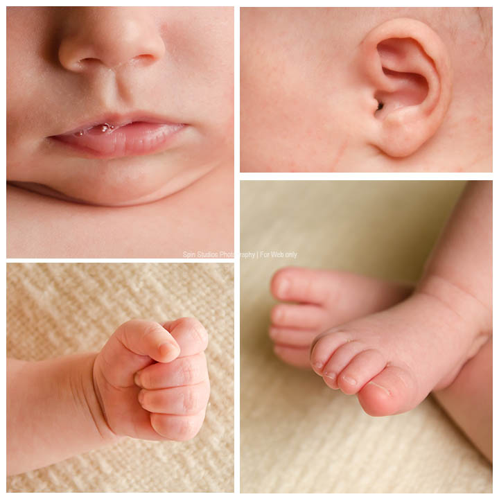 personal white bear lake newborn photographer by spin studios photography
