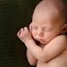 newborn during a relaxed studio portrait session, Twin Cities newborn photographer.